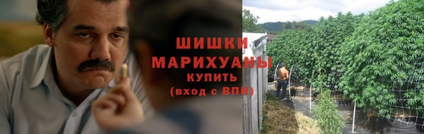 винт Касимов
