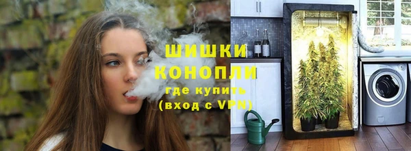 винт Касимов
